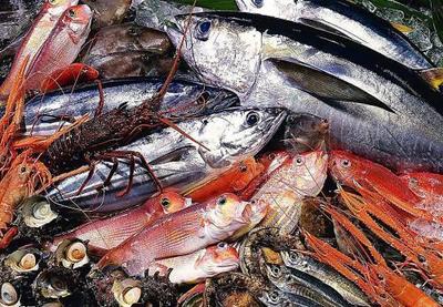 阜新冷凍水產(chǎn)品海關通關新政策解析 以雪蟹為例