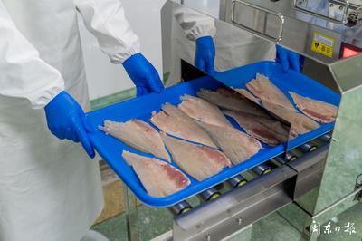開辟“預(yù)制菜”新賽道，大黃魚游向水產(chǎn)品市場(chǎng)藍(lán)海